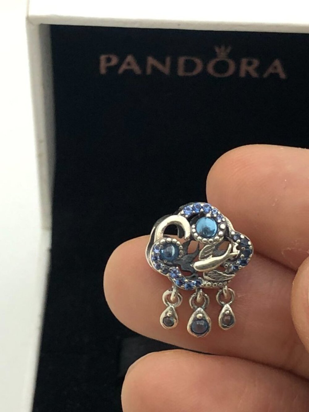 ✨🔥Pandora Cloud & Swallow Charm "Let your dreams be your wings" Pendant